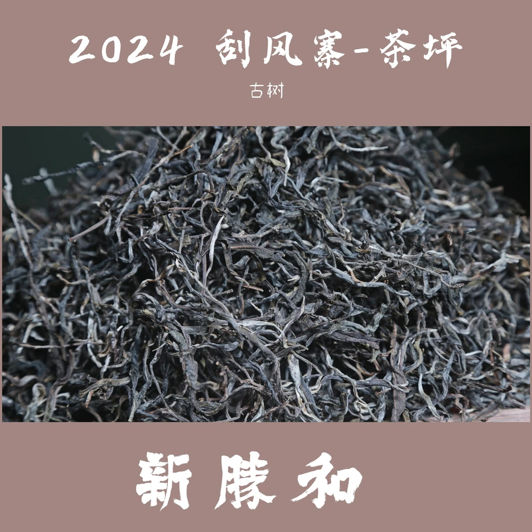 【2024 刮风寨-茶坪古树纯料】春尾  散茶盒装长期储存（生茶）新胜和
