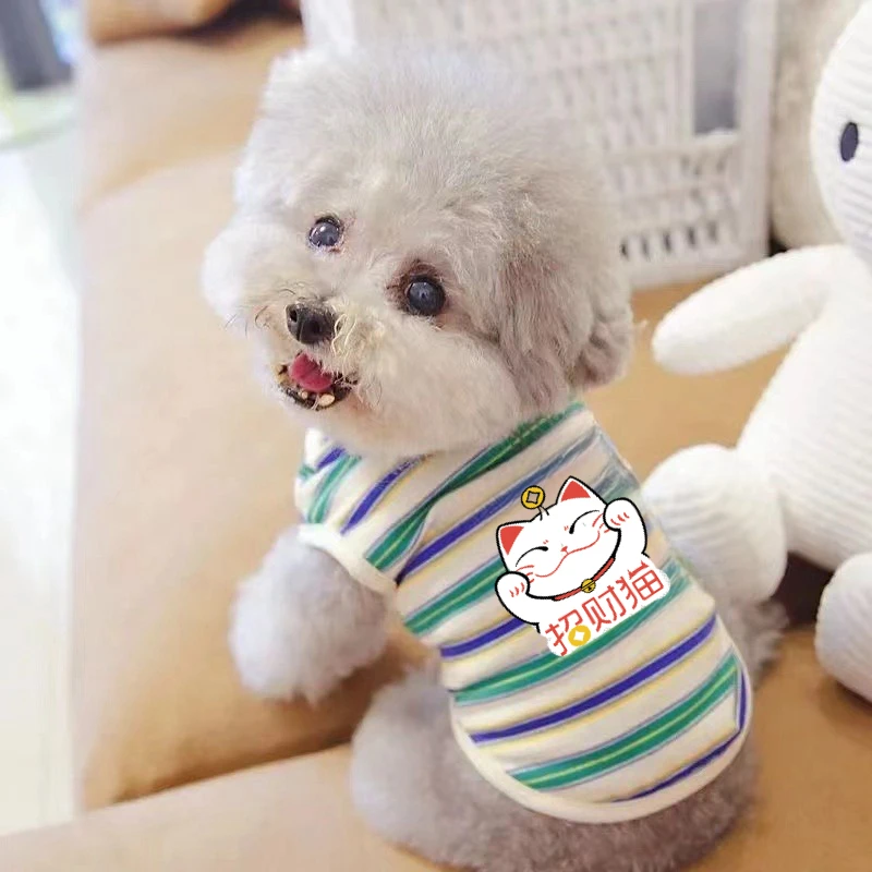 新款狗狗衣服春夏季薄款宠物条纹可爱奶狗猫咪小型犬泰迪比熊博美