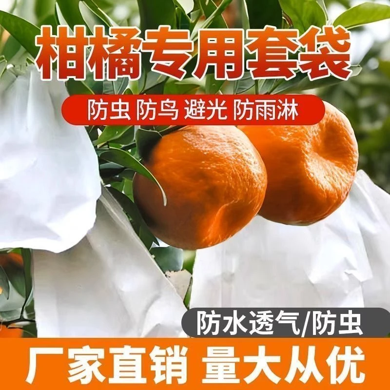 柑橘套袋专用袋耙耙柑防虫袋沃柑红美人爱媛橙防晒果袋丑橘春见袋