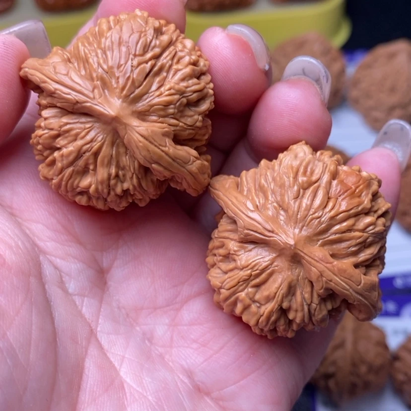 【闪购商品】赵*150。   号四座楼39