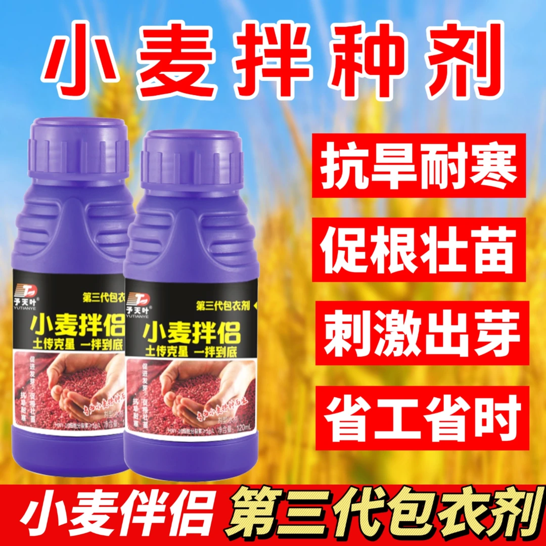 小麦第三代拌种剂包衣剂高产增收四元复配微生物产品