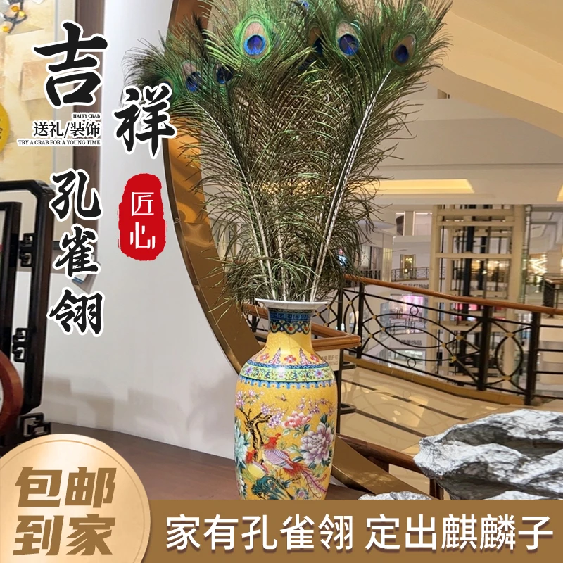 孔雀姐姐精选 装饰孔雀羽毛孔雀翎 文员学生书房客厅玄关婚庆摆件