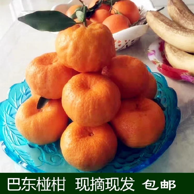 巴东椪柑湖北特产甜橘桔子礼盒装新鲜水果农民现摘现发