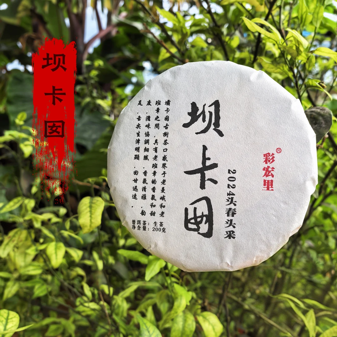 坝卡囡生茶花蜜香浓郁茶性霸道回甘生津迅猛