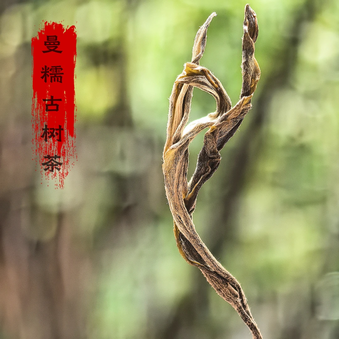 彩宏里云南曼糯普洱生茶散茶细叶茶品品鉴装