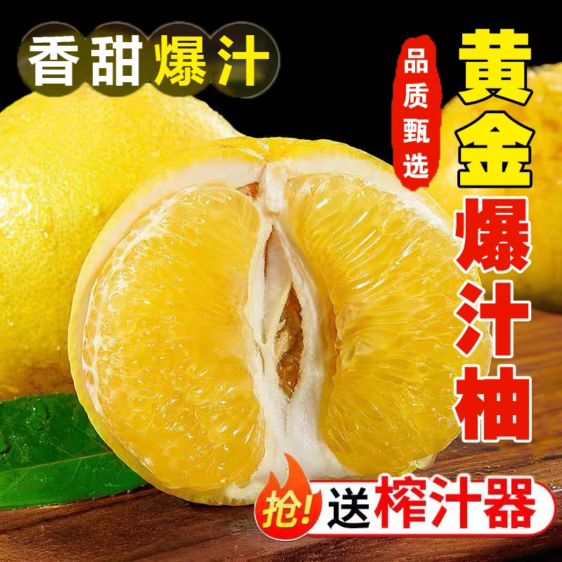 【现采现发】当季头茬限定黄金爆汁柚3-8斤装爆汁滑嫩坏果包赔