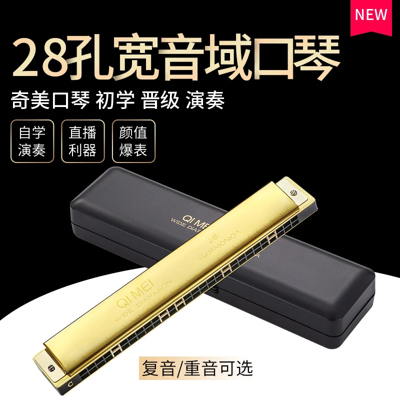 口琴孔宽音域复音调口琴初学者学生自学专业演奏重音口琴
