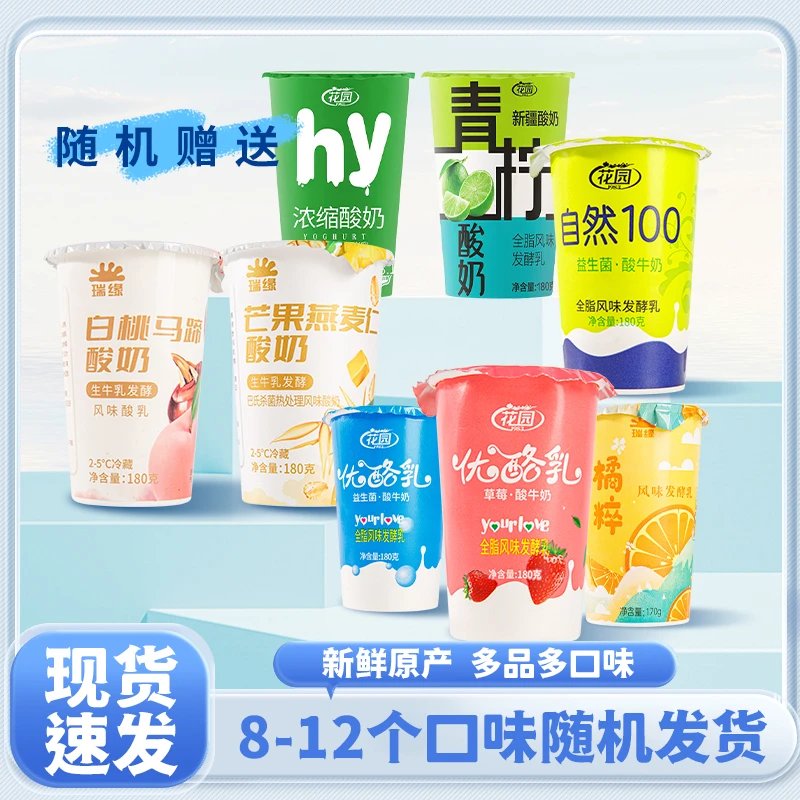 新疆酸奶花园瑞缘多品牌多口味杯装组合酸奶拼
