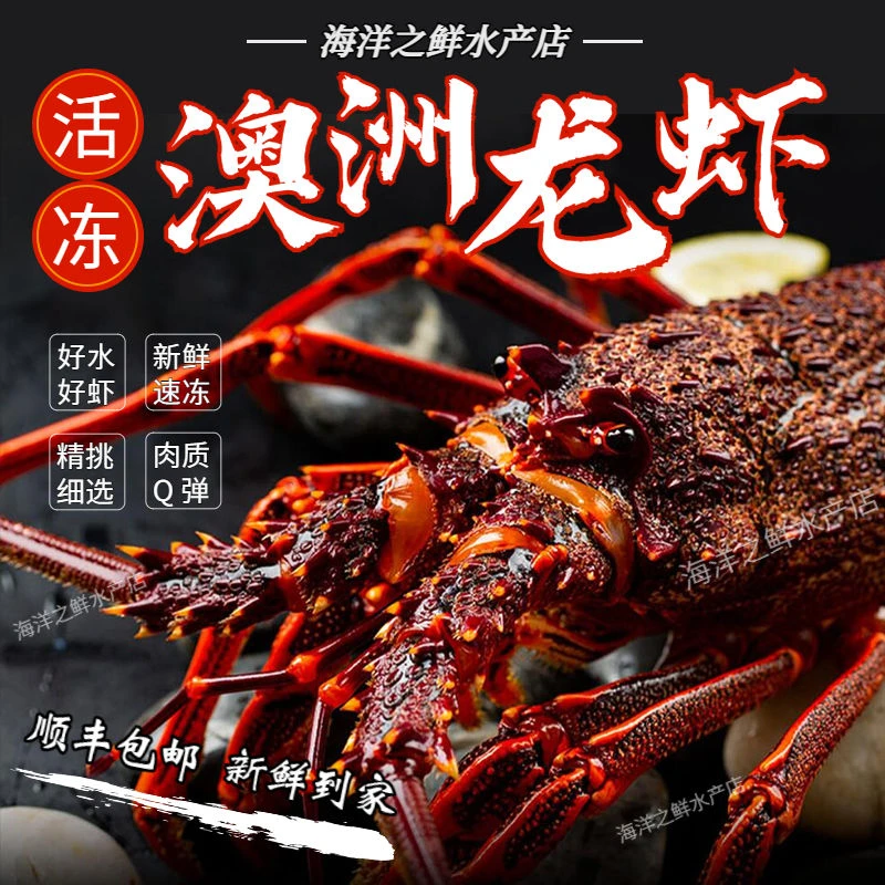 鲜冻活冻澳大利亚龙虾澳洲大龙虾2-6斤空运直达（包鲜包肥）新鲜饱