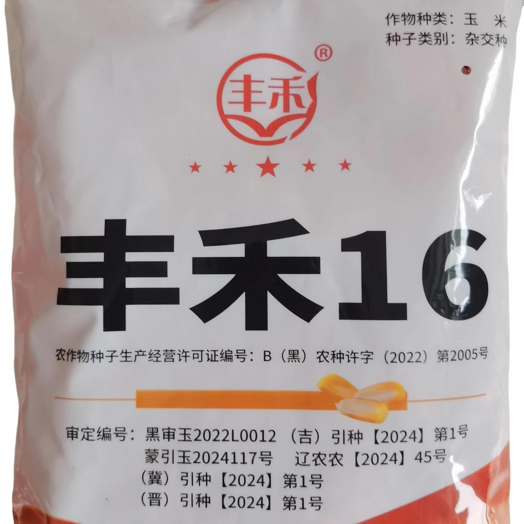 抗倒抗旱玉米种子高产大棒新品种丰禾16