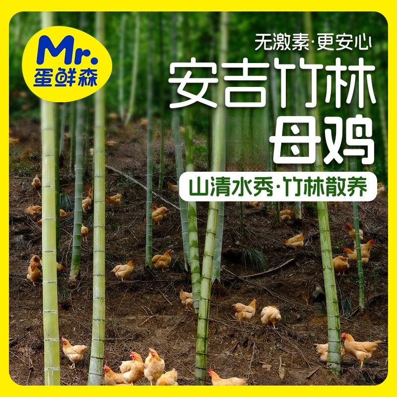 [直播]蛋鲜森安吉母鸡 950克*1只