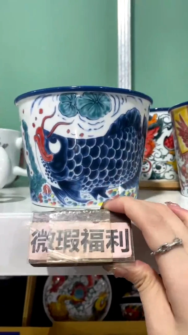 【闪购商品】昨明 （微瑕福利价）泡面桶龙鱼