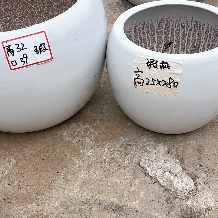 红陶20CM（含）-50CM（不含）