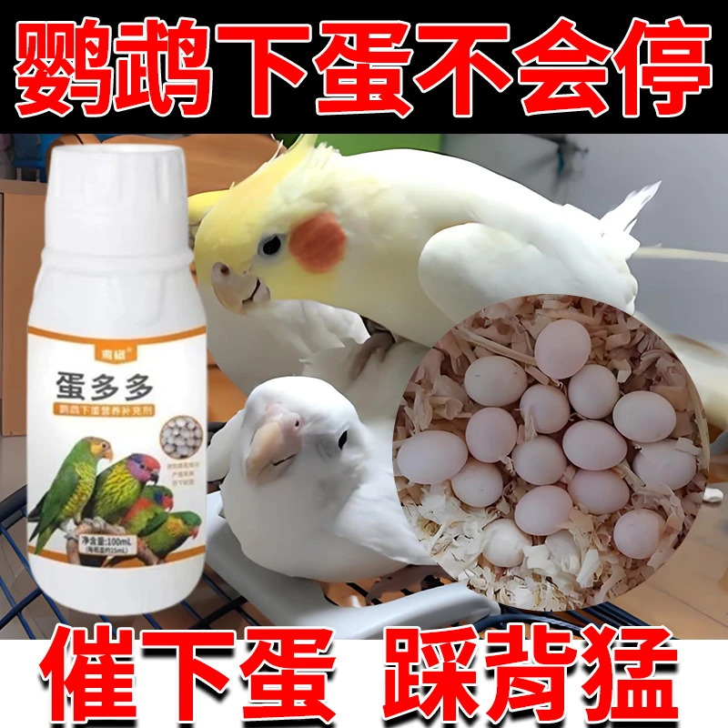 鹦鹉催蛋饲料快速下蛋促进营养鸟食提高鸟蛋质量促踩背助繁殖专用
