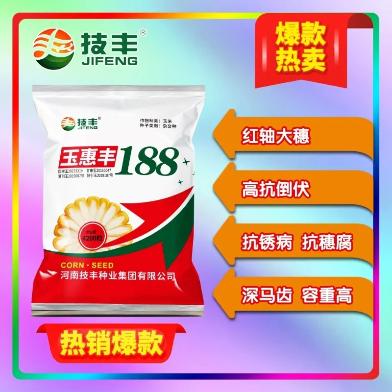【玉惠丰188】红轴大穗抗锈抗倒抗穗腐耐高温结实性好广适玉米种子