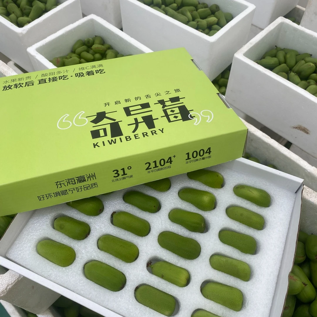 顺丰包邮！一级果维C炸弹崇明岛奇异莓软枣猕猴桃基地直采现摘现发