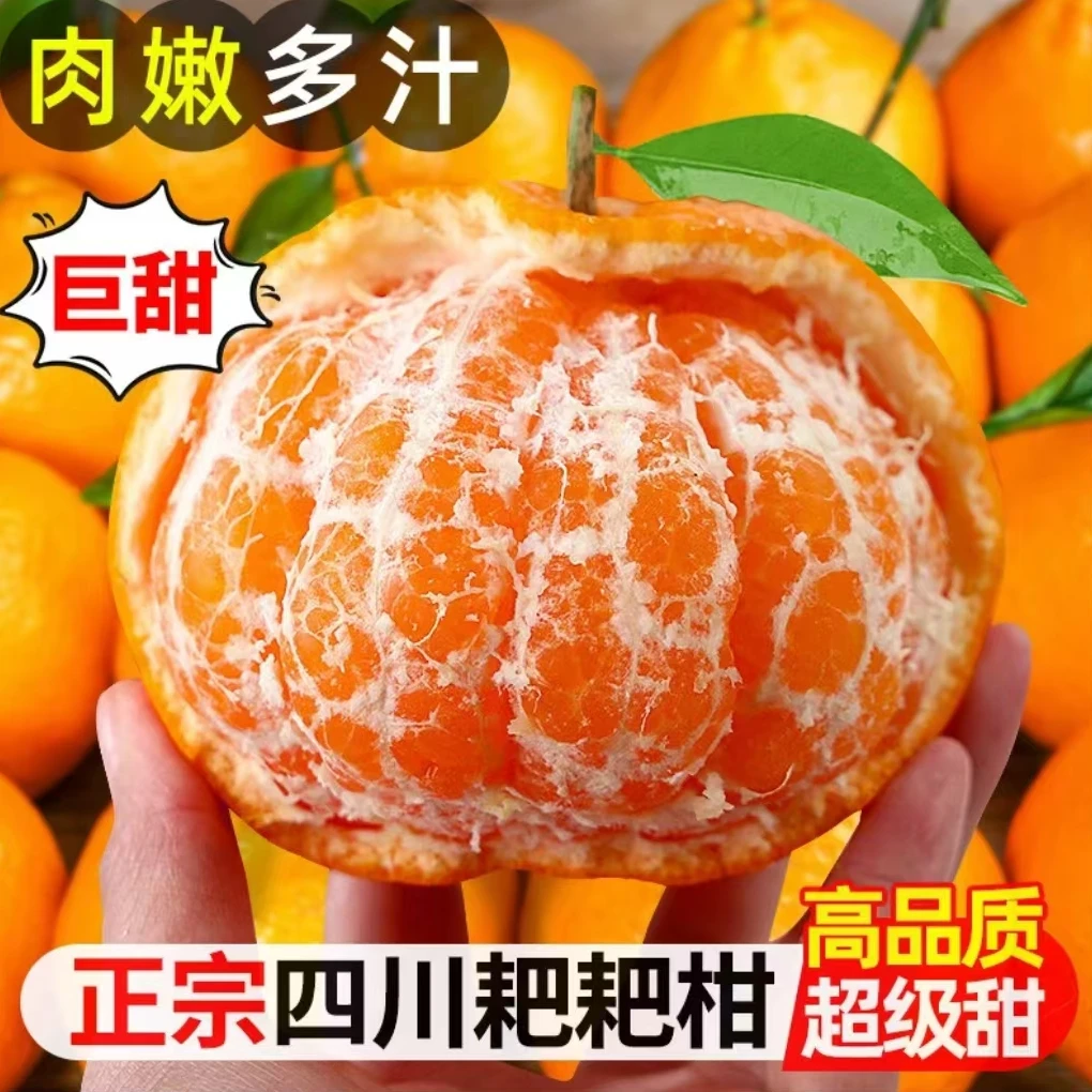 正宗四川春见耙耙柑【头茬新果】 丑桔子耙耙柑不知火丑橘子3/5/8斤