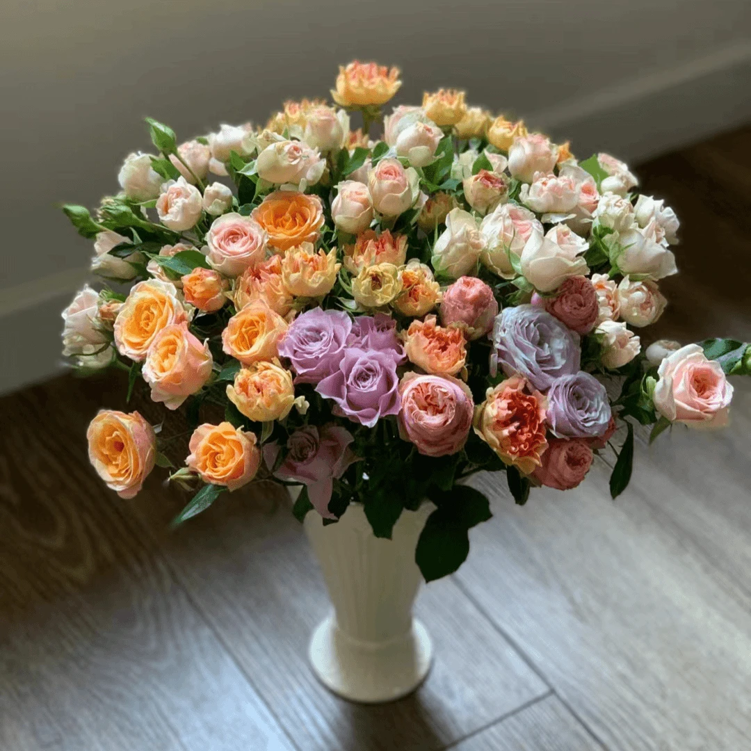 云南鲜花未闻花名系列混色多头玫瑰新品种混色发货 无土栽培玫瑰