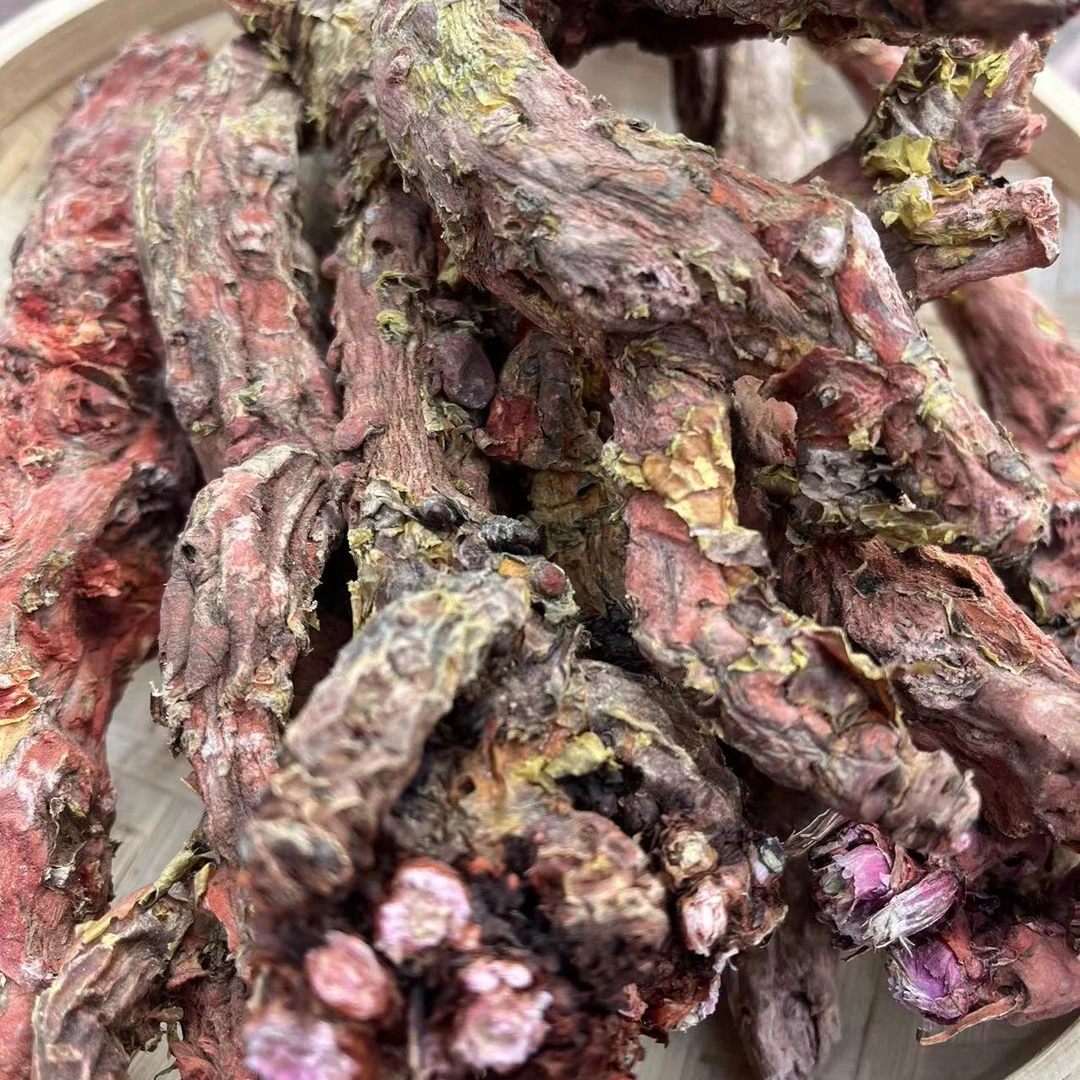 【山珍佬】西藏红景天高海拔大花高原红//景天  参