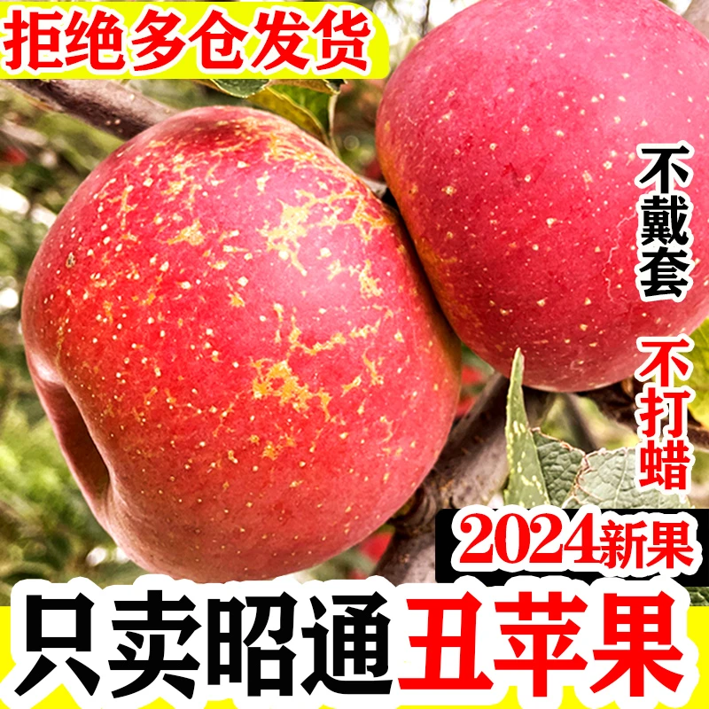【冰糖心】云南昭通红露丑苹果水果新鲜当季现摘丑苹果产地直发
