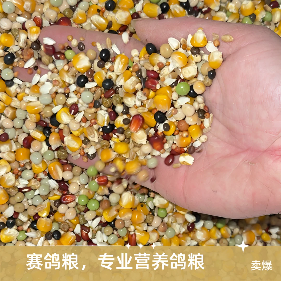 冠羽启航赛鸽专业营养鸽粮信鸽赛鸽观赏鸽元宝元环玉米花生豌豆