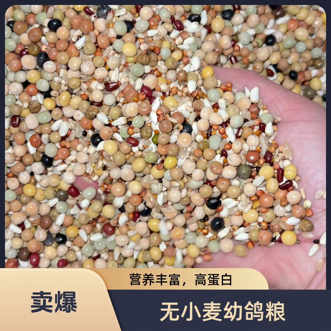 冠羽启航专业幼鸽粮赛鸽信鸽元宝圆环新鲜干净高蛋白无玉米豆类