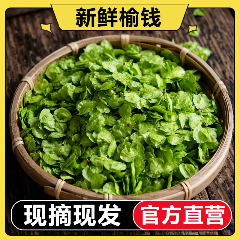 【顺丰包邮】2025新鲜榆钱儿野生野菜窝窝头榆树钱串子高钙新鲜蔬菜