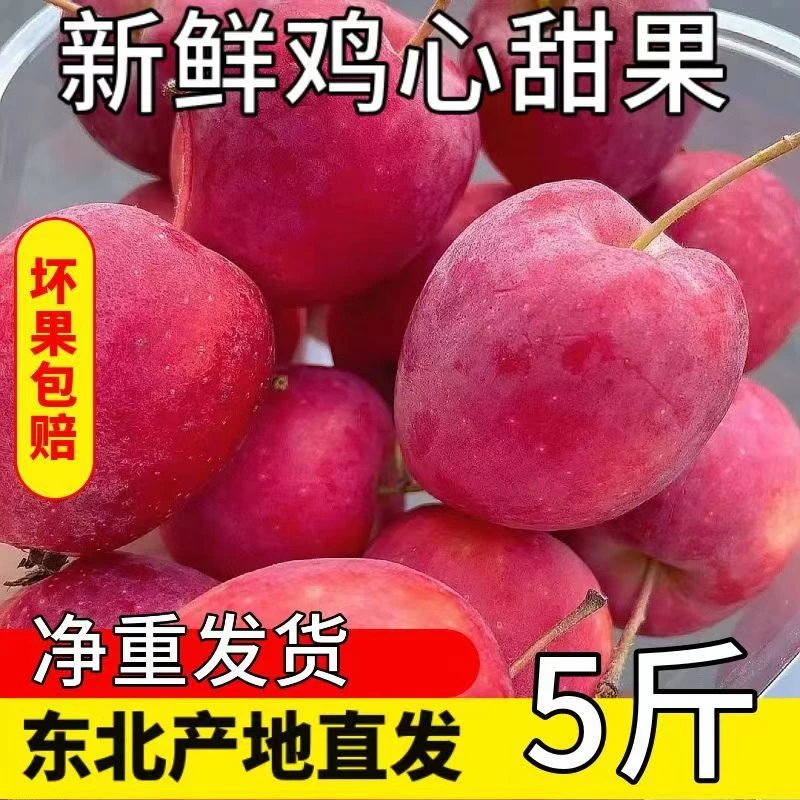 【现摘先发】东北特产鸡心果 新鲜小苹果锦绣海棠果小沙果