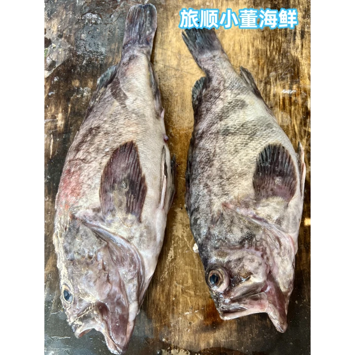 【中大黑黄鱼4两左右/条】大连渤海湾野生船捕