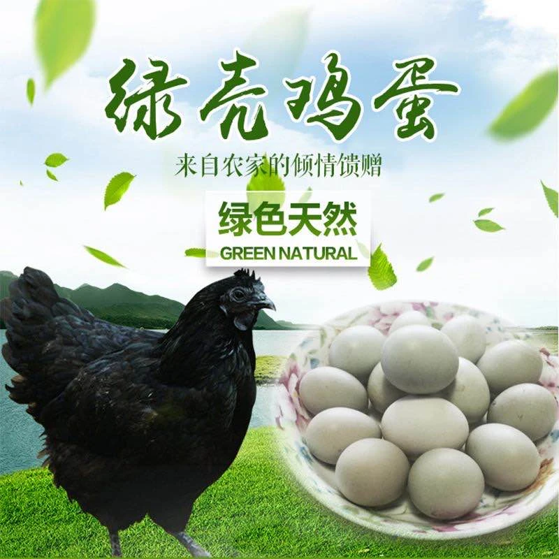 【新疆包邮】【白壳+绿壳】农家散养土鸡蛋10枚体验装新鲜营养健康