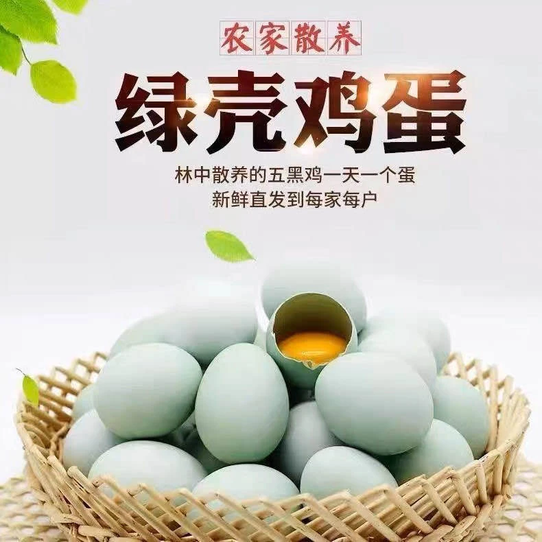 【新疆包邮】正宗乌鸡蛋农家散养新鲜自养天然草鸡蛋笨鸡蛋绿壳蛋