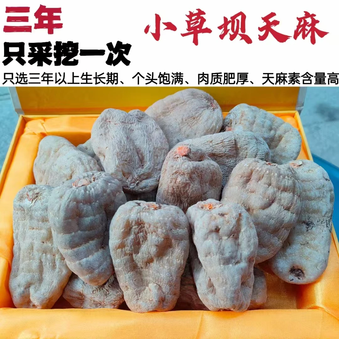 云南昭通小草坝世界天麻原产地干天麻（待加工）