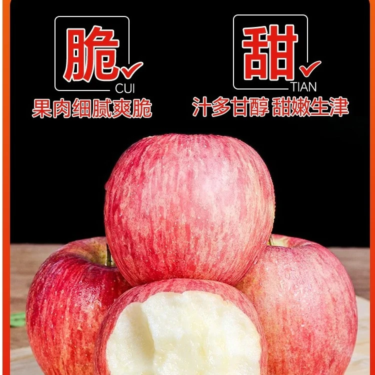 山东烟台栖霞红富士苹果5斤装产地直发