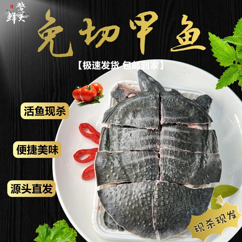 【两只装】鲜活甲鱼宰杀免切整只去皮放养生态新鲜精选干净老鳖王八