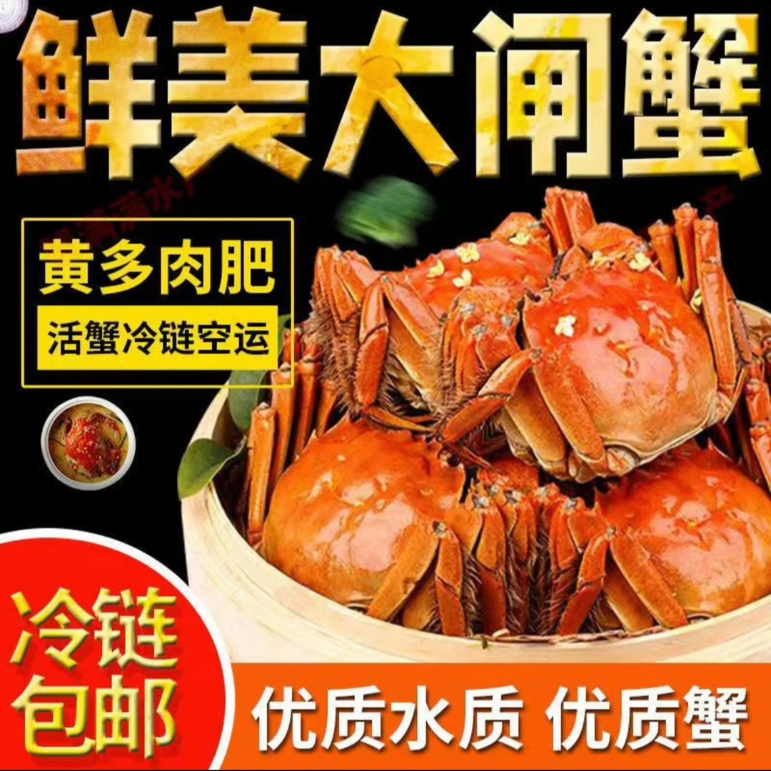 【活蟹】鲜活大闸蟹3.1-2.8两公蟹6只2.5-2.2两母蟹6只到手12只Y