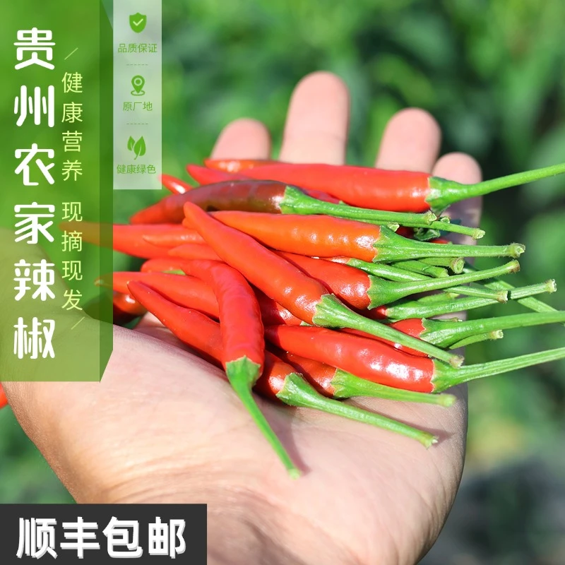 （顺丰包邮）贵州新鲜小米辣农家朝天辣小辣椒美味现摘现发1/5斤