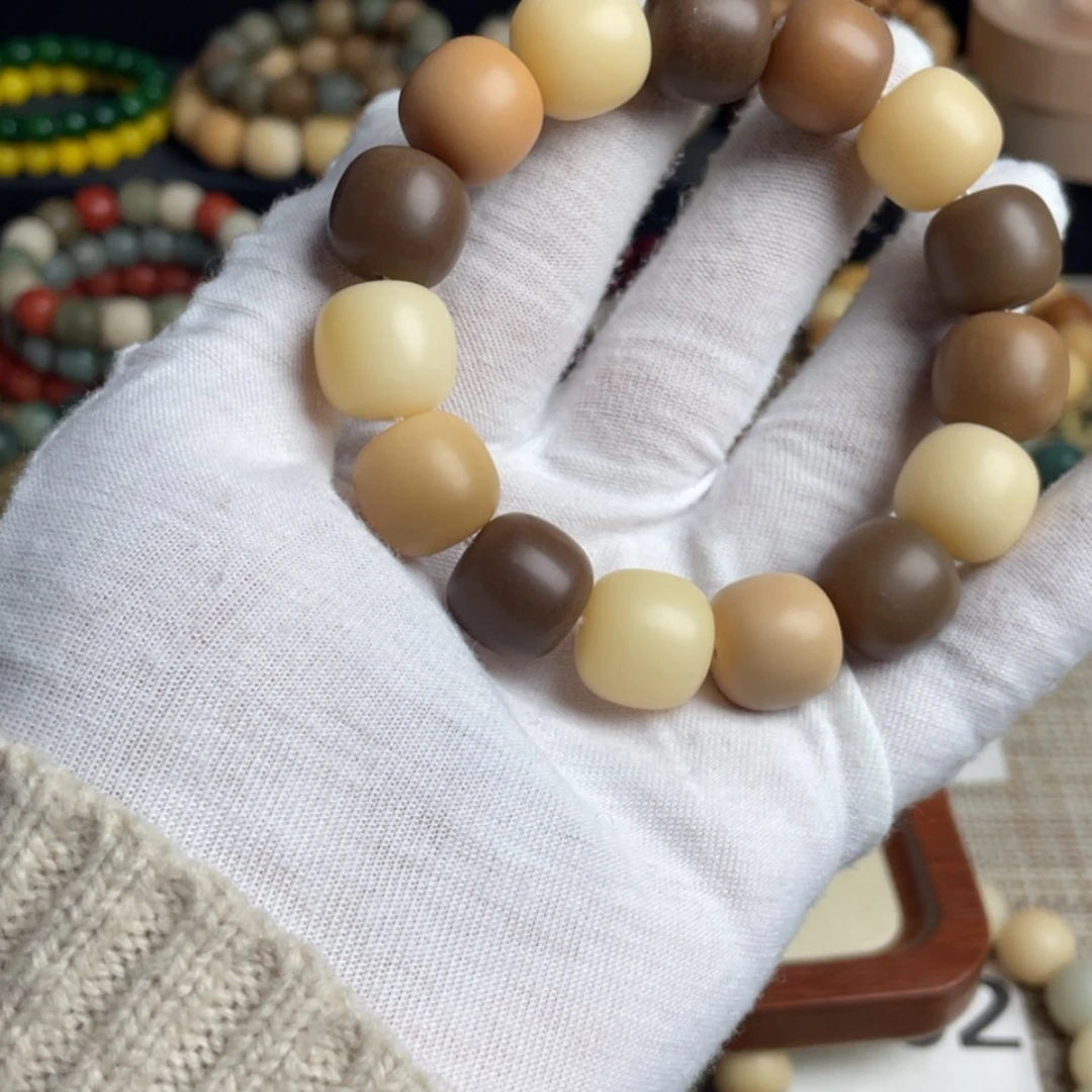 【闪购商品】菩提根/象牙果吊坠?**Z