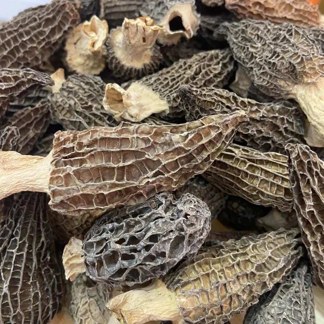 大号羊肚菌干 程家渔铺煲汤菌干