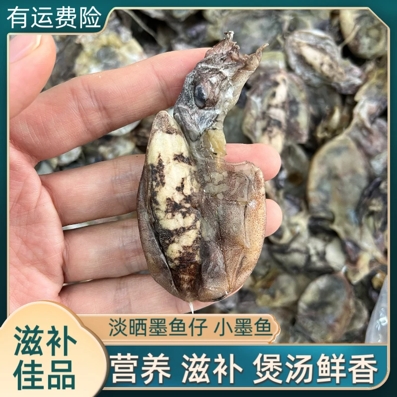 新货 淡晒墨鱼仔 小墨鱼 煲汤 煮粥 炒菜 焖肉