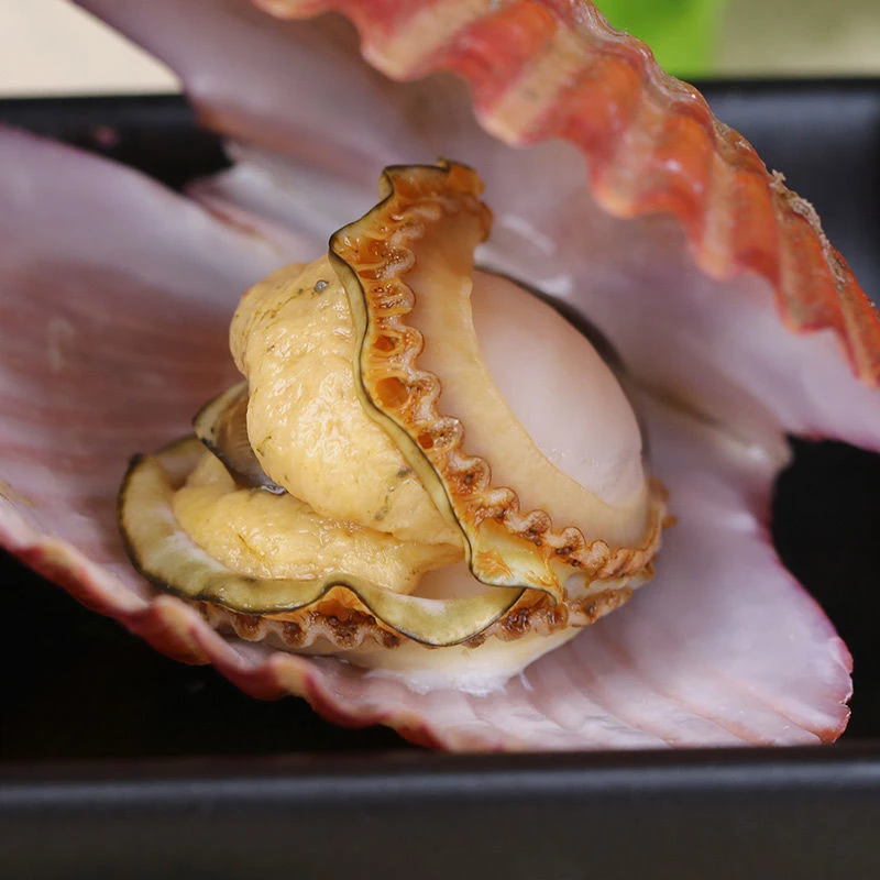 小红贝鲜活发货8-12个/斤 保鲜不保活