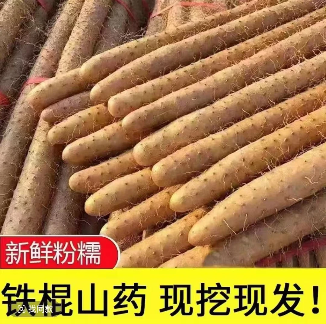 【五斤铁棍山药】粉糯香甜8正宗垆土新鲜现挖生鲜宝宝辅食30-40厘米
