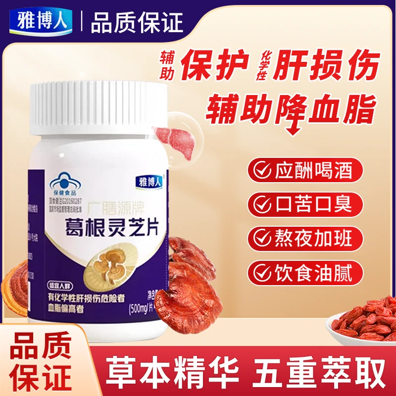 雅博人葛根灵芝片护肝片辅助保护肝损血脂偏高伤喝酒熬夜官方正品
