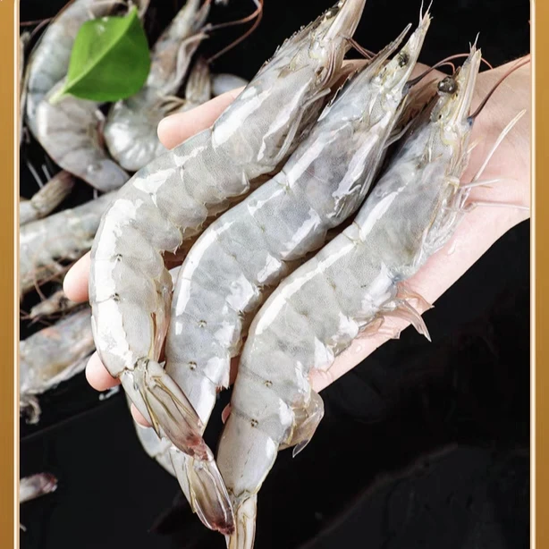 特大号20/30规格海洋大虾 新鲜速冻 连云港发货