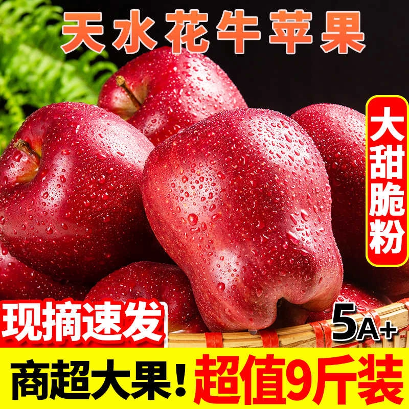 甘肃天水花牛苹果水果 新鲜时令当季 整箱红蛇粉面孕妇刮泥大果甜