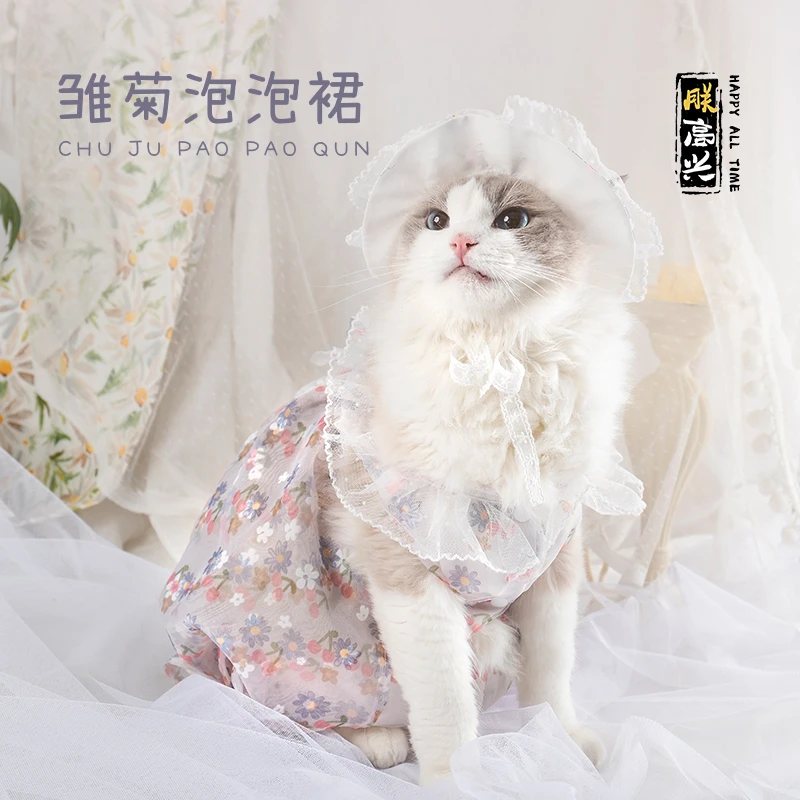 朕高兴猫咪衣服夏季防掉毛狗狗衣服布偶猫衣服猫咪小裙子公主风