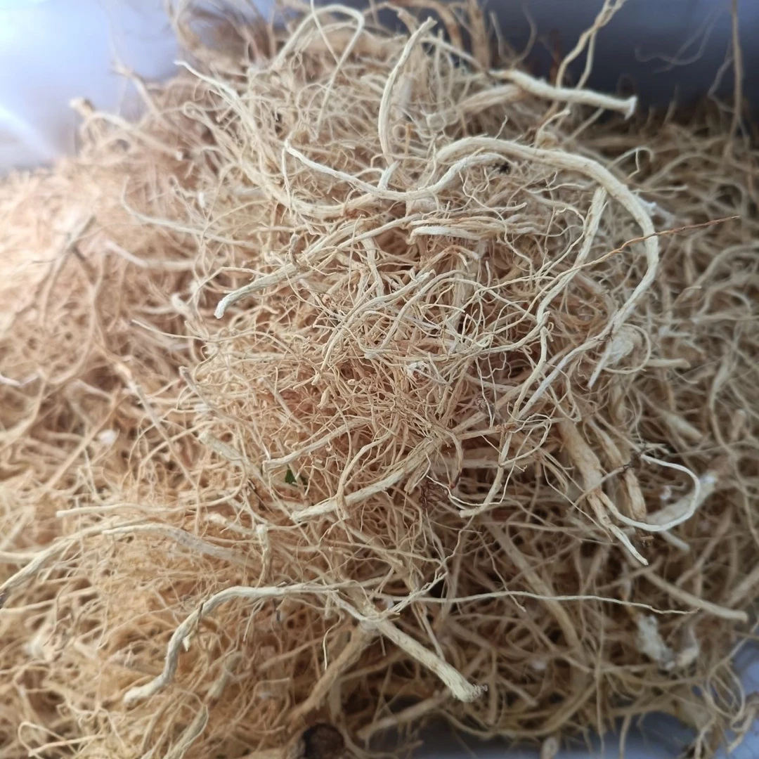 【林下参须】长白山原产地