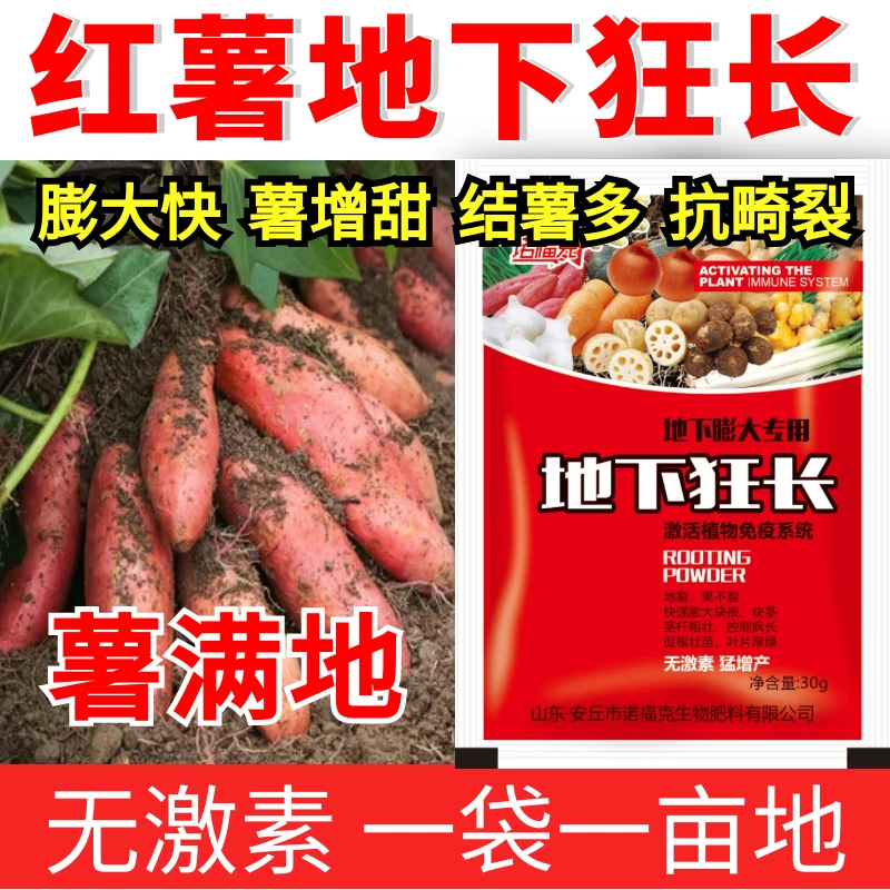 红薯地下狂长薯满地番薯地瓜增多增产增收增甜防裂红薯专用叶面肥