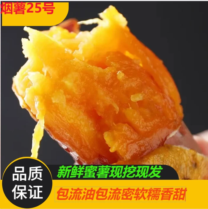 正宗烟薯25号新鲜现挖农家种植流油流密流糖心净重5斤烤地瓜