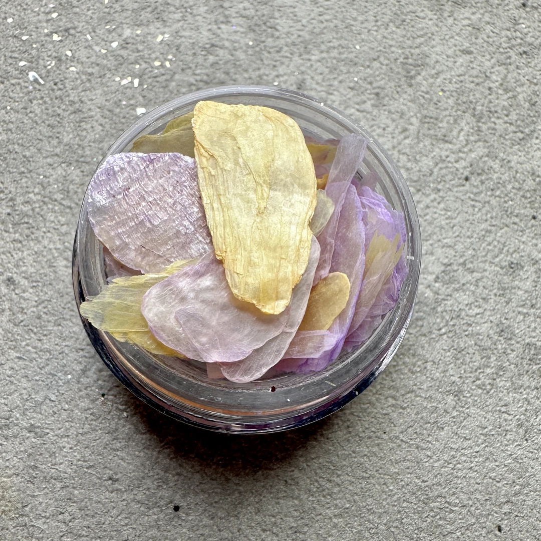 【达人专属】晃晃美甲 贝壳合集六 贝壳碎 幻彩极光 天然云母