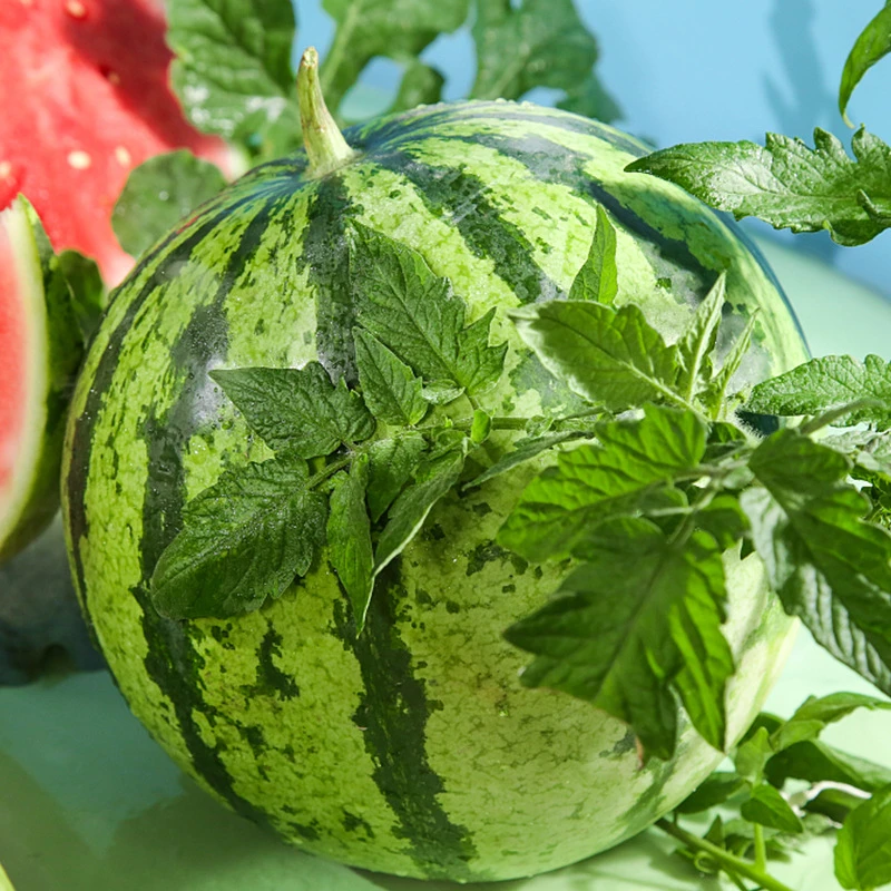 【坏果包赔】云南麒麟西瓜2-9斤应季手撕红玉沙瓤薄皮西瓜爆甜新鲜